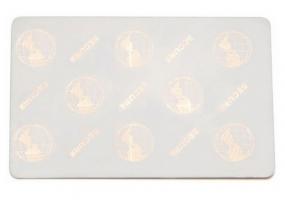 Zebra white PVC, 30 mil cards, 2D world globe surface foil hologram (500 cards)