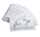 Entrust Cleaning Cards (10 pack)